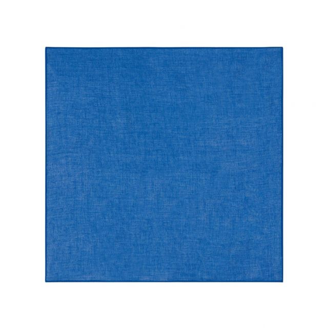 TOVAGLIOLO ORGANZA Blue