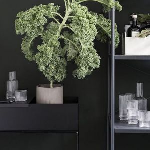 PLANT BOX Black