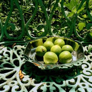 CHROME BOWL – LARGE