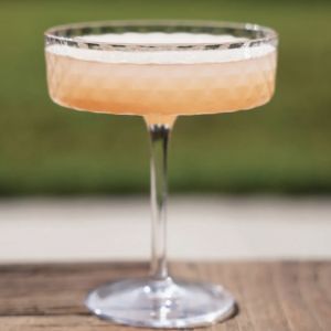 VENEZIANO MIXOLOGY CALICE CHAMPAGNE - TRASPARENTE