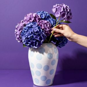VASO- Canopie KIKI
