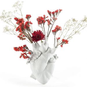 VASO-love in bloom