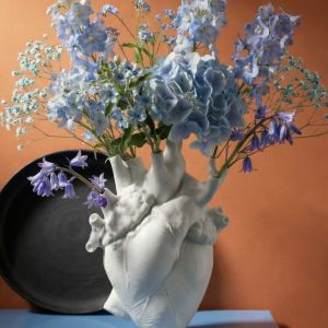 VASO-love in bloom
